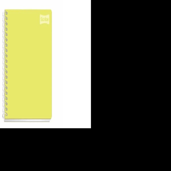 CUADERNO PROF. POLYCOVER SCRIBE 2050 RAYA ESP. 100H. PZA